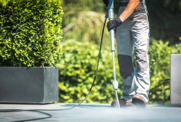 Best Roof Washing  in Humboldt Hill, CA